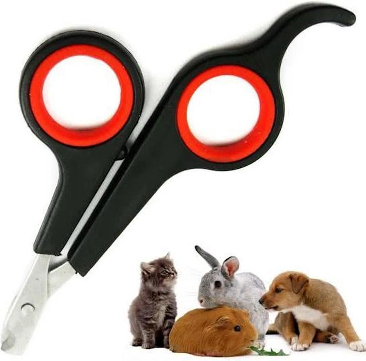 Noix Katten Nagelknipper - Nagelschaar - Dieren Nagelschaartje - Geschikt Voor De Kat 4 Noix Katten Nagelknipper - Nagelschaar - Dieren Nagelschaartje - Geschikt Voor De Kat - Afbeelding 4