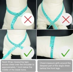 *** Katy`s Kattentuigje Zwart Maat M Met Looplijn - Kleine Hond - Kattenharnas - Honden Harnas - Kattenriem - Uitlaten - Van Heble® *** 9 *** Katy`s Kattentuigje Zwart Maat M Met Looplijn - Kleine Hond - Kattenharnas - Honden Harnas - Kattenriem - Uitlaten - Van Heble® *** -Kattenbenodigdheden Winkel 1200x1186 15