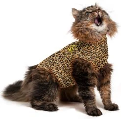 Medical Pet Shirt Kat Luipaard Print - XS -Kattenbenodigdheden Winkel 1200x1187 6