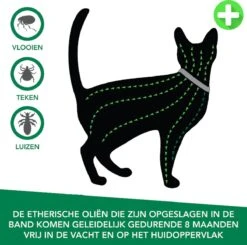 Teken- En Vlooienband Voor Katten PLUS - Natuurlijk Middel Tegen Vlooien En Teken - 100% Natuurlijk - 38,5 CM - Tot 8 Maand Werkzaam - Biologisch -Kattenbenodigdheden Winkel 1200x1188