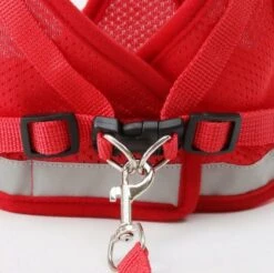 Merkloos Kittentuigje - Verstelbaar Kattentuigje Reflecterend - Kattenharnas - Kattentuig Met Looplijn - Rood - Maat XS 6 Merkloos Kittentuigje - Verstelbaar Kattentuigje Reflecterend - Kattenharnas - Kattentuig Met Looplijn - Rood - Maat XS -Kattenbenodigdheden Winkel 1200x1194 8