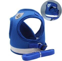 Merkloos Verstelbaar Kattentuigje Reflecterend - Kattenharnas - Kattentuig Met Looplijn - Blauw - Maat S