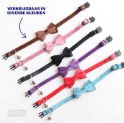 Kattenhalsband Velvet Met Strik | Halsband Kat | Kattenband Velours | Kattenbandje Velvet Met Strik, Veiligheidssluiting En Belletje In Roze -Kattenbenodigdheden Winkel 1200x1197 27