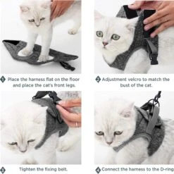 Kattentuig Met Riem, Set, Ontsnappingsbestendig Kattenharnas, Verstelbaar En Zacht, -Kattenbenodigdheden Winkel 1200x1198 17