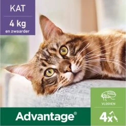 Bayer Anti Vlooienmiddel Advantage 80 > 4 Kg - 4 X 0,8 Ml 23 Bayer Anti Vlooienmiddel Advantage 80 > 4 Kg - 4 X 0,8 Ml -Kattenbenodigdheden Winkel 1200x1199