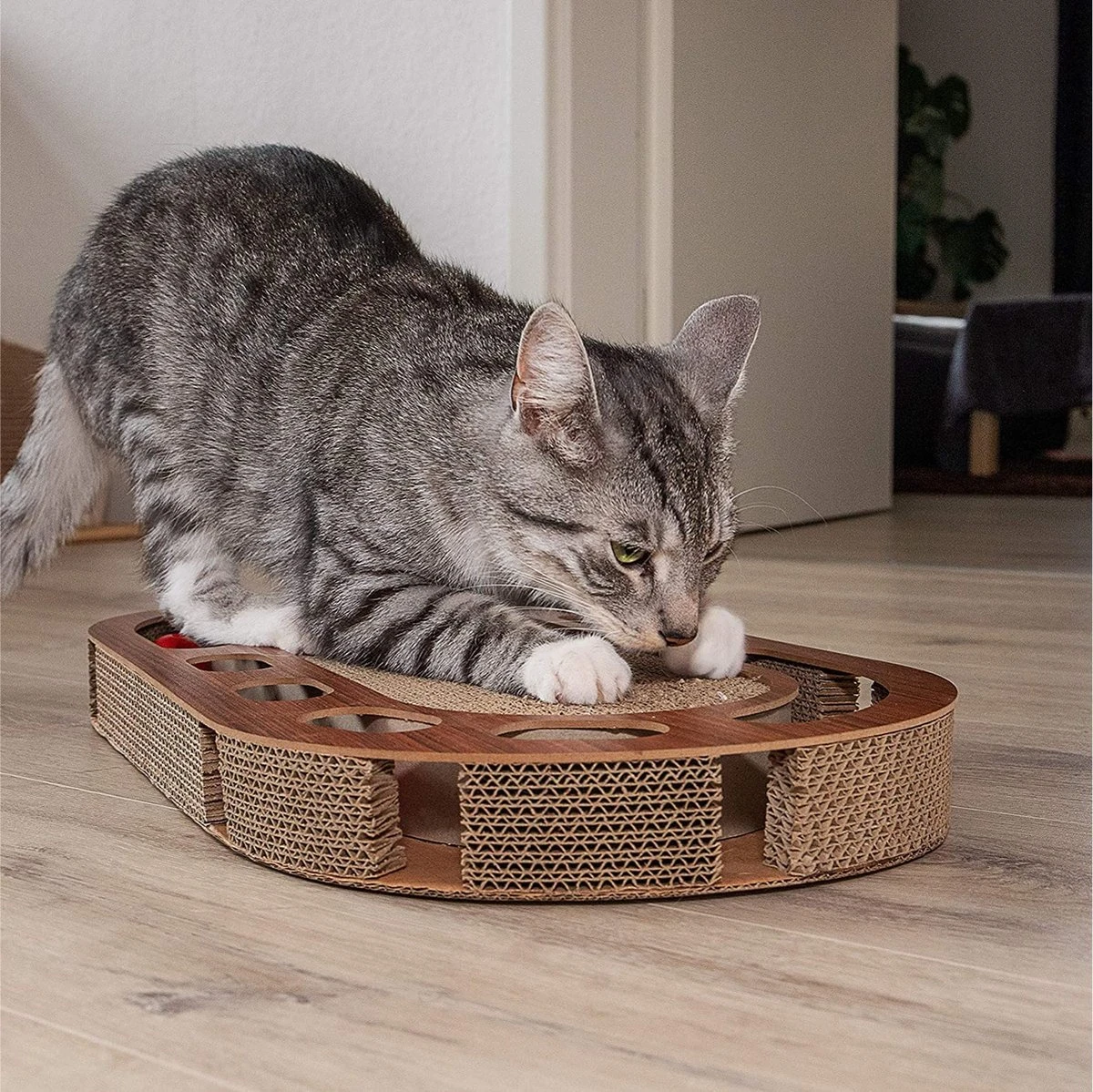 Pfotenolymp® Kattenspeelplaats 57 X 30 X 5 Cm - Interactief Kattenspeelgoed/krabplank Van Golfkarton - Krabplank - Voedselspeeltje Met Speelbal & Kattenkruid/krabplank Voor Katten 4 Pfotenolymp® Kattenspeelplaats 57 X 30 X 5 Cm - Interactief Kattenspeelgoed/krabplank Van Golfkarton - Krabplank - Voedselspeeltje Met Speelbal & Kattenkruid/krabplank Voor Katten - Afbeelding 4