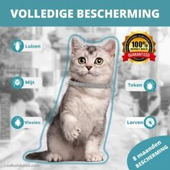 Biologische Vlooien- En Tekenband Voor Katten - BLAUW - Zonder Giftige Pesticiden - Veilig En Verantwoord -Kattenbenodigdheden Winkel 1200x1200 1