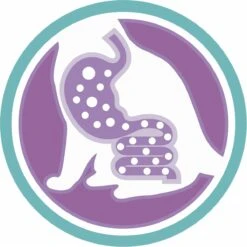 Purina One Sensitive - Kalkoen/Rijst - Kattenvoer - 800 G -Kattenbenodigdheden Winkel 1200x1200 102