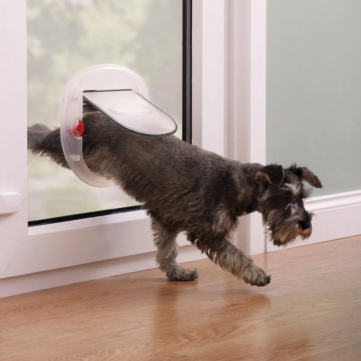 Petsafe 200 Kattenluik - Wit - L - 29,4 X 29,5 X 5 Cm 2 Petsafe 200 Kattenluik - Wit - L - 29,4 X 29,5 X 5 Cm - Afbeelding 2