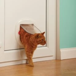 Petsafe 200 Kattenluik - Wit - L - 29,4 X 29,5 X 5 Cm 20 Petsafe 200 Kattenluik - Wit - L - 29,4 X 29,5 X 5 Cm -Kattenbenodigdheden Winkel 1200x1200 1032