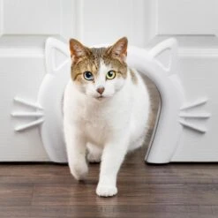 PetSafe Staywell® Cat Corridor - Kattendoorgang Voor Binnenshuis - Overschilderbaar Design - Voor Katten Tot 9 Kg - Staywell Cat Corridor -Kattenbenodigdheden Winkel 1200x1200 1093