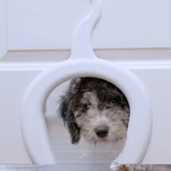 PetSafe Staywell® Cat Corridor - Kattendoorgang Voor Binnenshuis - Overschilderbaar Design - Voor Katten Tot 9 Kg - Staywell Cat Corridor -Kattenbenodigdheden Winkel 1200x1200 1094