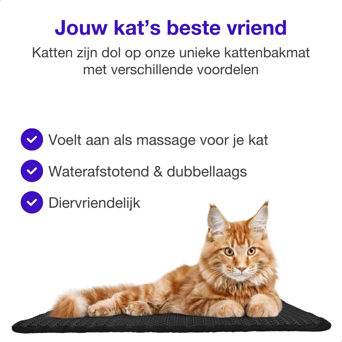 SIMU Lifestyle - Kattenbakmat - Grit Opvanger - Dubbele Laag - Waterdicht - Zwart - 50x40 Cm 5 SIMU Lifestyle - Kattenbakmat - Grit Opvanger - Dubbele Laag - Waterdicht - Zwart - 50x40 Cm - Afbeelding 5