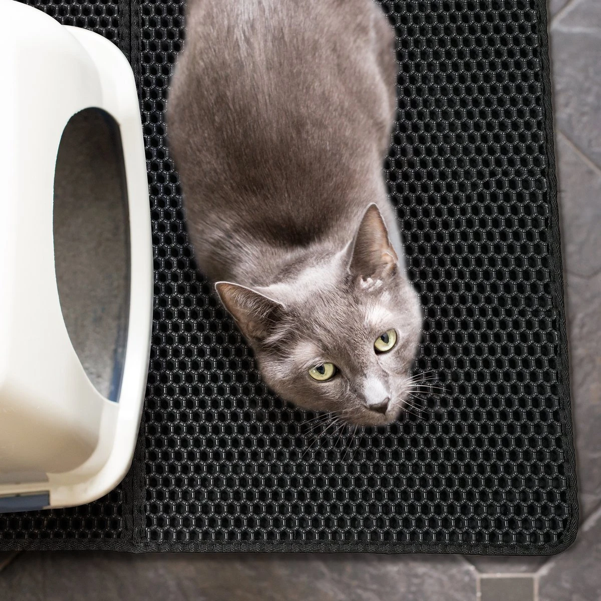 Merkloos Tastelio XXL Kattenbakmat 75x55cm - Groot Kattenbak Mat Met Innovatieve Honingraatstructuur - Dubbele Waterdichte Laag - Katten Bak Mat Met Eenvoudige Reiniging Grit Opvanger 2 Merkloos Tastelio XXL Kattenbakmat 75x55cm - Groot Kattenbak Mat Met Innovatieve Honingraatstructuur - Dubbele Waterdichte Laag - Katten Bak Mat Met Eenvoudige Reiniging Grit Opvanger - Afbeelding 2