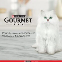 Purina One Purina Gourmet Perle - Mini Filets In Saus - Kalkoen Eend Tonijn & Lam - 40x85g -Kattenbenodigdheden Winkel 1200x1200 117