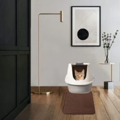 IGOODS - Kattenbakmat Met Filter - 45 X 60 - Waterdicht - Dubbele Laag - Bruin -Kattenbenodigdheden Winkel 1200x1200 1170