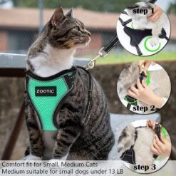 Kattentuigje Met Leiband Riem Kattenharnas Groen Maat M Kat & Kitten - Dieren Kattenriem - Cat Leash - Halsomvang 20 Tot 26cm - Borstomvang 30 Tot 34cm - Zootic® -Kattenbenodigdheden Winkel 1200x1200 1200