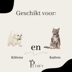 Petsify - Kattenhalsband Met Belletje - Veiligheidssluiting - Reflecterend - Halsband Kat - Halsband Kitten - Set Van 11 -Kattenbenodigdheden Winkel 1200x1200 1202