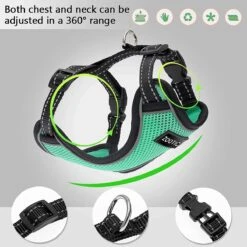 Kattentuigje Met Leiband Riem Kattenharnas Groen Maat L Kat & Kitten - Dieren Kattenriem - Cat Leash - Halsomvang 24 Tot 33cm - Borstomvang 36 Tot 41cm - Zootic® -Kattenbenodigdheden Winkel 1200x1200 1206