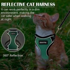 Kattentuigje Met Leiband Riem Kattenharnas Groen Maat L Kat & Kitten - Dieren Kattenriem - Cat Leash - Halsomvang 24 Tot 33cm - Borstomvang 36 Tot 41cm - Zootic® -Kattenbenodigdheden Winkel 1200x1200 1207
