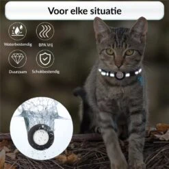 BJØRK Kattenhalsband Airtag - Reflecterend - Zwart - Verstelbaar - 20 Tot 30 Cm - Tracker- GPS - Geschikt Voor Apple AirTag - Kattenriem - Katten Accessoire - Halsband Kat Airtag -Kattenbenodigdheden Winkel 1200x1200 1218