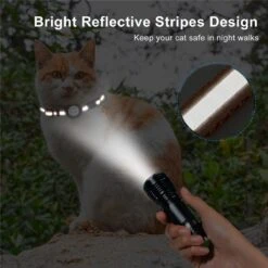 BJØRK™ Kattenhalsband Airtag - Reflecterend - Oranje - Verstelbaar - 20 Tot 30 Cm - Tracker- GPS - Geschikt Voor Apple AirTag - Kattenriem - Katten Accessoire - Halsband Kat Airtag -Kattenbenodigdheden Winkel 1200x1200 1222