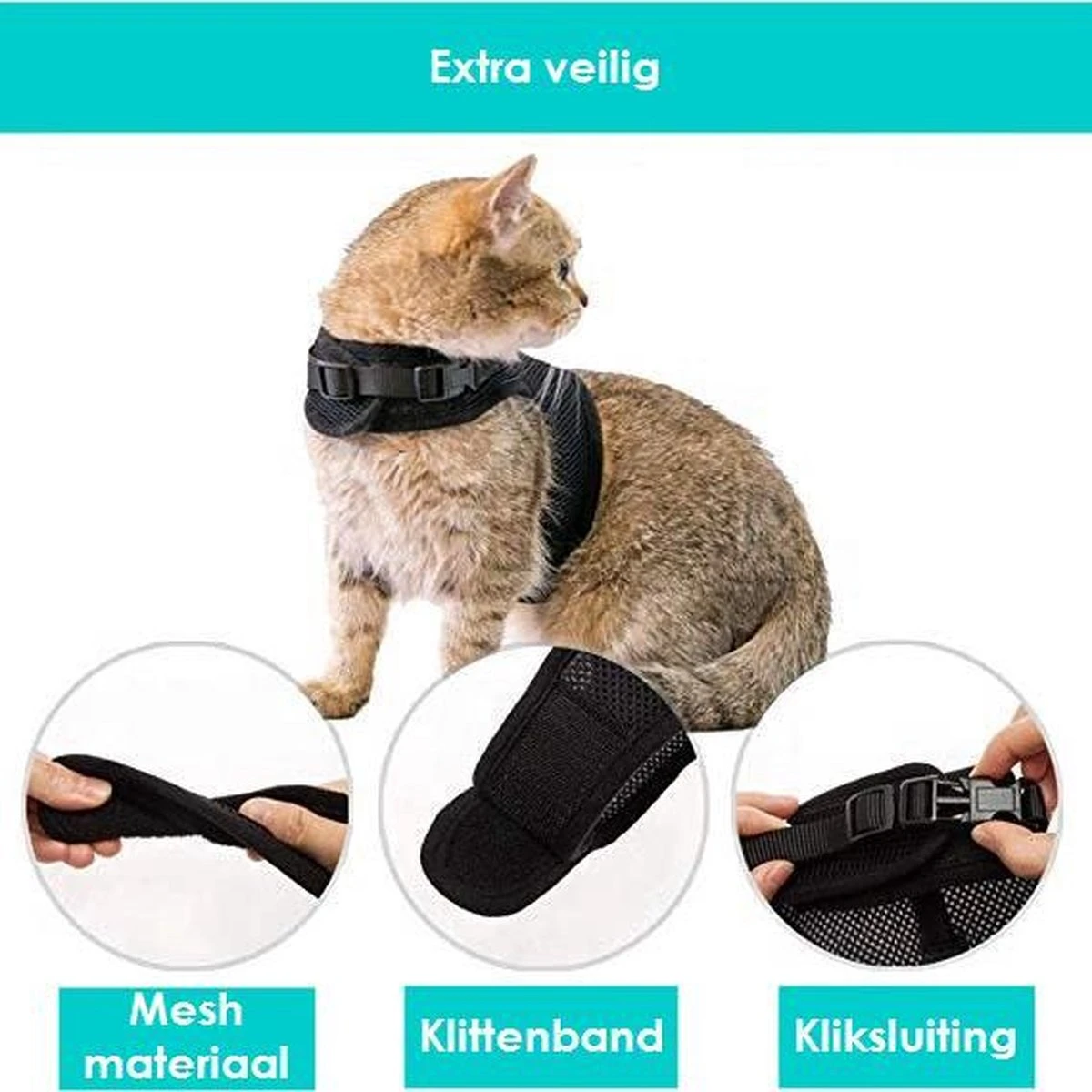 Zootic Kattentuigje Met Leiband Riem Kattenharnas Zwart Maat M Kat & Kitten - Halsomvang 20 Tot 26cm - Borstomvang 30 Tot 34cm 6 Zootic Kattentuigje Met Leiband Riem Kattenharnas Zwart Maat M Kat & Kitten - Halsomvang 20 Tot 26cm - Borstomvang 30 Tot 34cm - Afbeelding 6