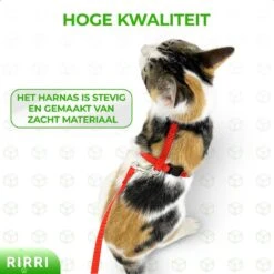 Rirri Kattenharnas Met Looplijn - Kattentuigje Met Looplijn Hoogwaardige Kwaliteit - Rood -Kattenbenodigdheden Winkel 1200x1200 1228