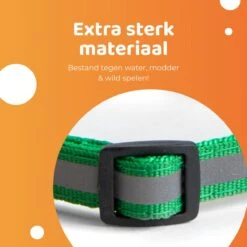 ACE Pets Reflecterende Kattenhalsband Met Veiligheidssluiting – Halsband Kat & Kitten - Met Adreskoker - Kittenhalsband & Kattenbandje Met Belletje - Zwart -Kattenbenodigdheden Winkel 1200x1200 1234