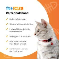 ACE Pets Reflecterende Kattenhalsband Met Veiligheidssluiting – Halsband Kat & Kitten - Met Adreskoker - Kittenhalsband & Kattenbandje Met Belletje - Zwart -Kattenbenodigdheden Winkel 1200x1200 1235