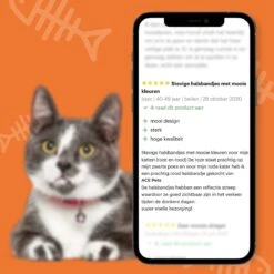 ACE Pets Reflecterende Kattenhalsband Met Veiligheidssluiting – Halsband Kat & Kitten - Met Adreskoker - Kittenhalsband & Kattenbandje Met Belletje - Geschikt Voor Apple Airtag - Zwart -Kattenbenodigdheden Winkel 1200x1200 1254