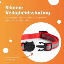 ACE Pets Reflecterende Kattenhalsband Met Veiligheidssluiting – Halsband Kat & Kitten - Met Adreskoker - Kittenhalsband & Kattenbandje Met Belletje - Geschikt Voor Apple Airtag - Zwart -Kattenbenodigdheden Winkel 1200x1200 1255