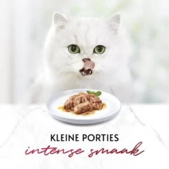 Gourmet Mon Petit Intense - Kattenvoer Natvoer - Vlees - 24 X 50 Gr 21 Gourmet Mon Petit Intense - Kattenvoer Natvoer - Vlees - 24 X 50 Gr -Kattenbenodigdheden Winkel 1200x1200 126