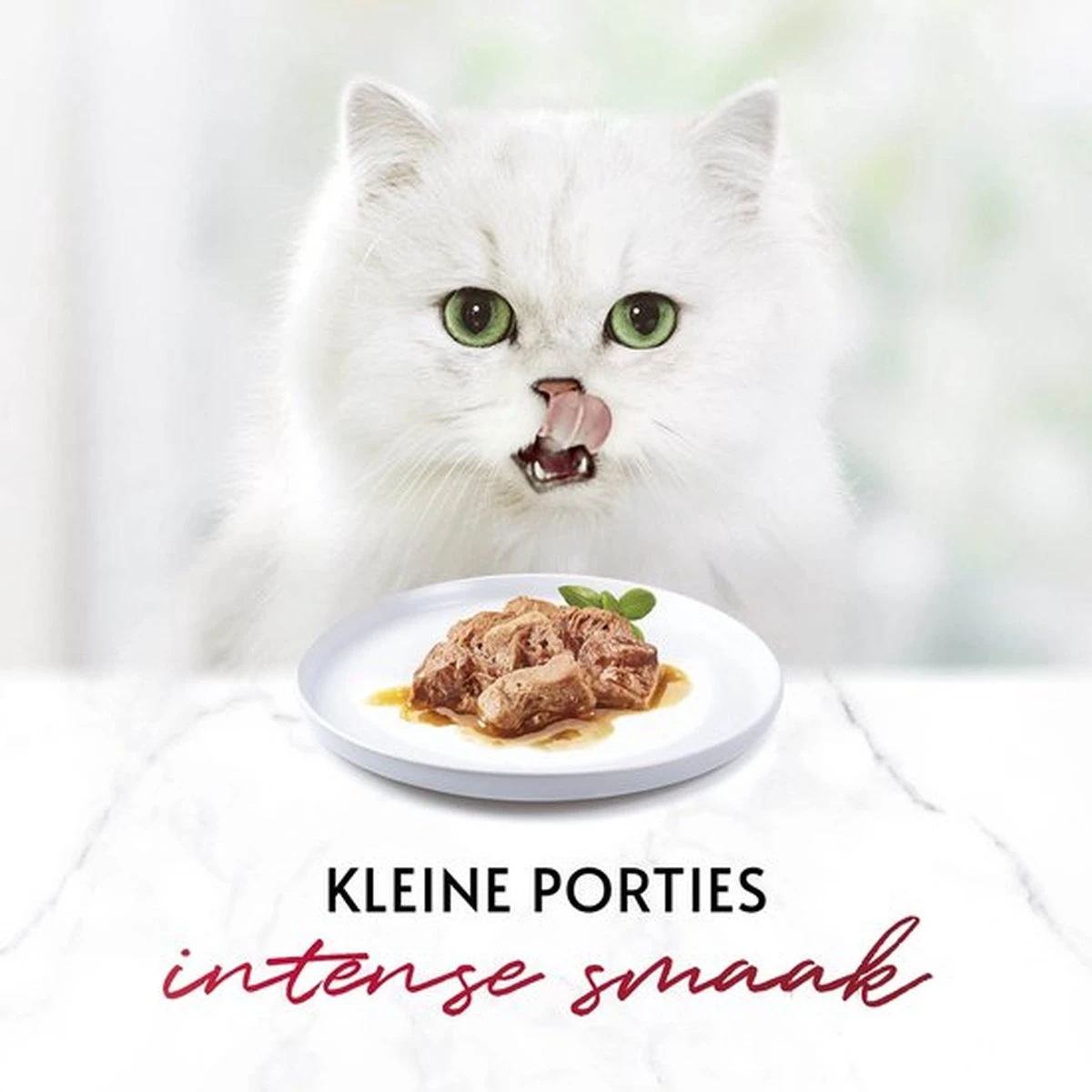 Gourmet Mon Petit Intense - Kattenvoer Natvoer - Vlees - 24 X 50 Gr 10 Gourmet Mon Petit Intense - Kattenvoer Natvoer - Vlees - 24 X 50 Gr - Afbeelding 10