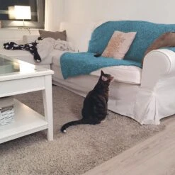 HG Tegen Urine Geur - 500 Ml - Effectief En Snel Resultaat - Neemt De Geur Definitief Weg -Kattenbenodigdheden Winkel 1200x1200 1274