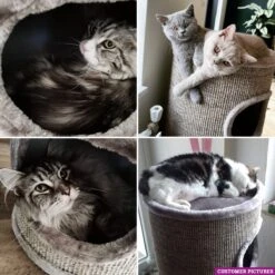 Petrebels Dome 80 Krabton Voor Katten -Cappuccino - Ø 45 X 80 Cm - Stabiel 12 Petrebels Dome 80 Krabton Voor Katten -Cappuccino - Ø 45 X 80 Cm - Stabiel -Kattenbenodigdheden Winkel 1200x1200 1284