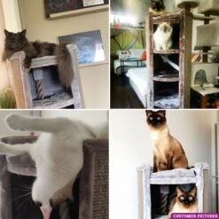 Petrebels Superdome 120 Krabton Voor Katten - Cappuccino - 49 X 49 X 120 Cm -Kattenbenodigdheden Winkel 1200x1200 1287