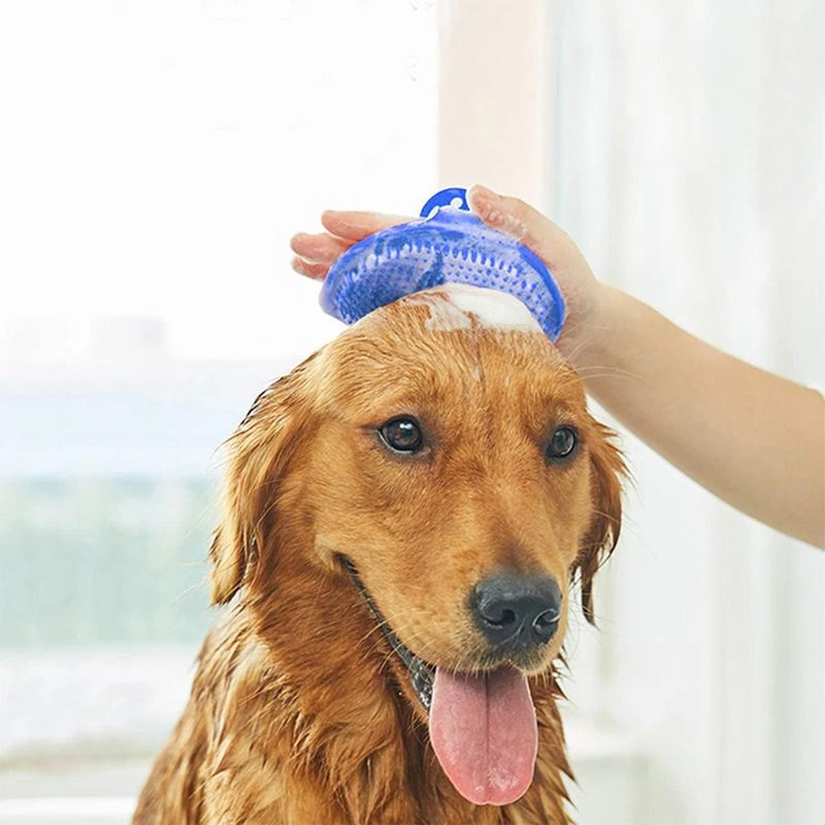 Kattenborstel - Hondenborstel - Vacht Verzorgingsborstel Hond En Kat - Siliconen Haarborstel - Flexibele Massage Borstel - Haar– En Klittenkam - Blauw 2 Kattenborstel - Hondenborstel - Vacht Verzorgingsborstel Hond En Kat - Siliconen Haarborstel - Flexibele Massage Borstel - Haar– En Klittenkam - Blauw - Afbeelding 2