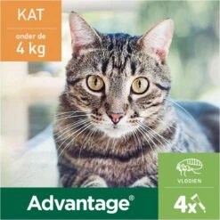 Bayer Advantage 40 Tegen Vlooien - <4kg - 4 X 0,4 Ml - Adult -Kattenbenodigdheden Winkel 1200x1200 13