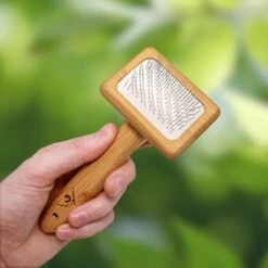 Pfotenolymp® Zachte Borstel Voor Katten - Kattenborstel / Kattenkam Van Bamboe - Bontborstel / Vachtborstel / Kattenhaarborstel - Bontkam Voor Vachtverzorging 11 Pfotenolymp® Zachte Borstel Voor Katten - Kattenborstel / Kattenkam Van Bamboe - Bontborstel / Vachtborstel / Kattenhaarborstel - Bontkam Voor Vachtverzorging -Kattenbenodigdheden Winkel 1200x1200 1301