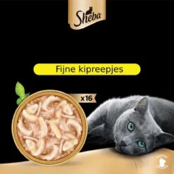 Sheba Filets - Katten Natvoer In Saus - Kipfilet Stukjes - 16 X 60 Gr -Kattenbenodigdheden Winkel 1200x1200 133
