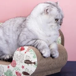 Nobleza 46IIC Design Krabsofa - Krabplank Met Catnip - L54 X B26 X H20 Cm -Kattenbenodigdheden Winkel 1200x1200 1334