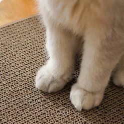 Verticale Muur Kat Krabplank Mini Size Slijtvaste Kat Krassen Schraper Voor Katten Training Slijpen Klauw Speelgoed -Kattenbenodigdheden Winkel 1200x1200 1338