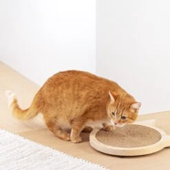 Navaris Houten Krabplank Voor Katten - Krabmat Van Hout En Sisal Voor Aan De Muur - In De Vorm Van Een Kattenkop - Te Bevestigen Met Zuignappen -Kattenbenodigdheden Winkel 1200x1200 1340