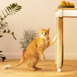 Navaris Sisal Katten Krabmat - Bescherming Van Meubels Tegen Krabben - Krabbescherming Voor Tafels En Stoelen- Gemakkelijk Aan Te Brengen 10 Navaris Sisal Katten Krabmat - Bescherming Van Meubels Tegen Krabben - Krabbescherming Voor Tafels En Stoelen- Gemakkelijk Aan Te Brengen -Kattenbenodigdheden Winkel 1200x1200 1347