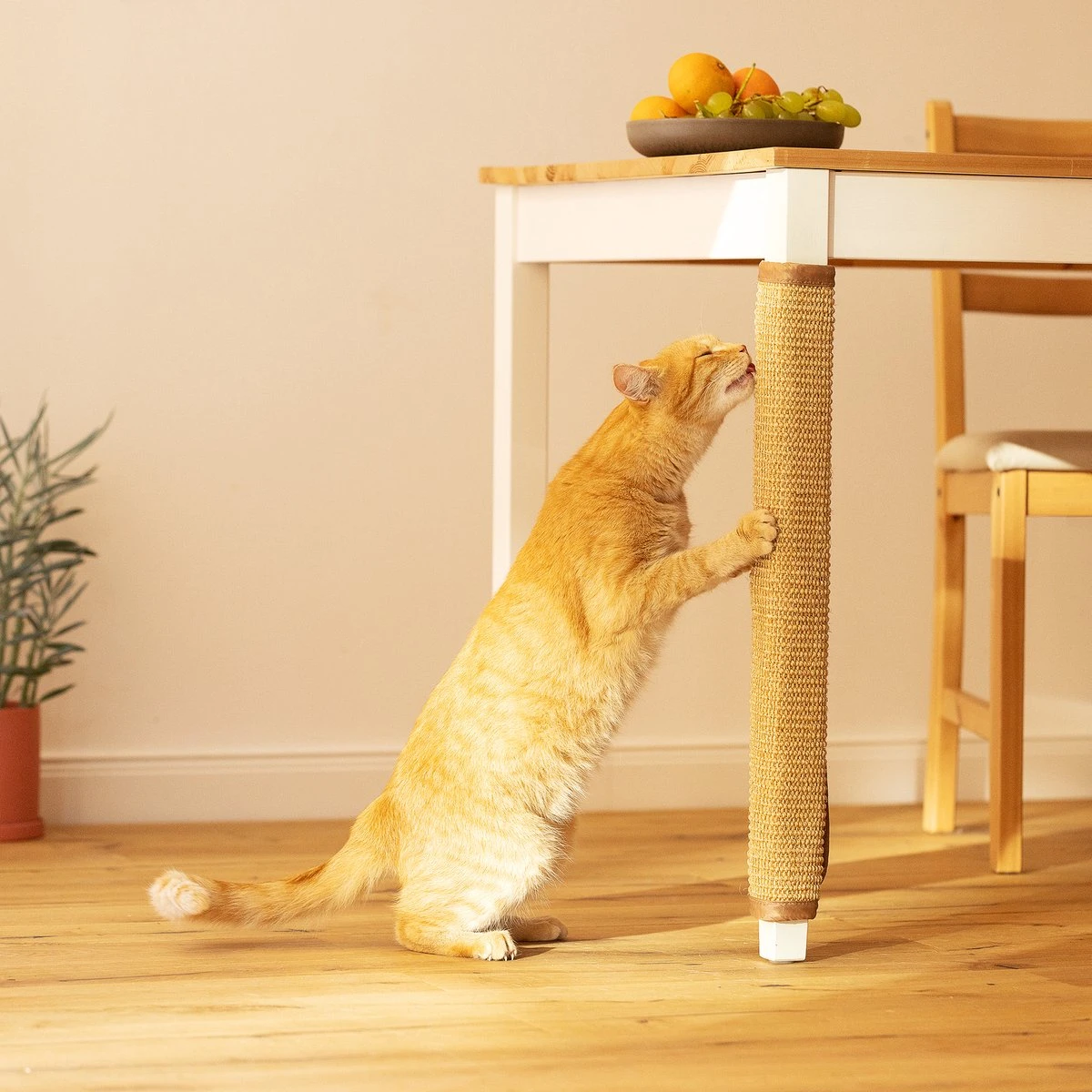 Navaris Sisal Katten Krabmat - Bescherming Van Meubels Tegen Krabben - Krabbescherming Voor Tafels En Stoelen- Gemakkelijk Aan Te Brengen 6 Navaris Sisal Katten Krabmat - Bescherming Van Meubels Tegen Krabben - Krabbescherming Voor Tafels En Stoelen- Gemakkelijk Aan Te Brengen - Afbeelding 6