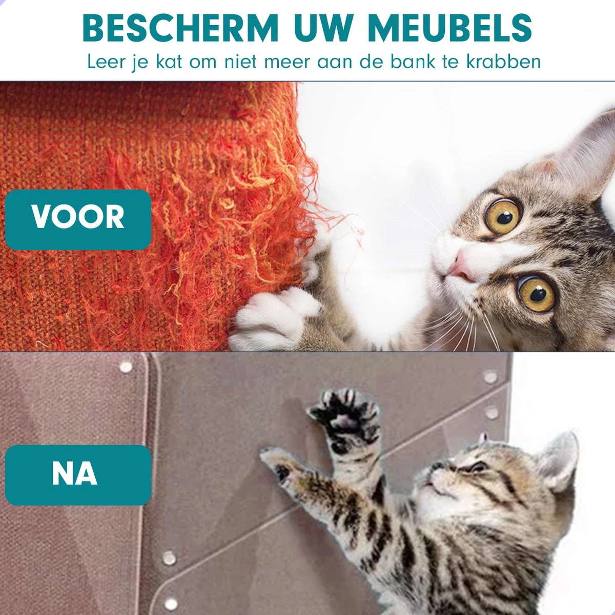 Westhome - Anti Krab Vellen Voor Kat En Hond - Meubelbescherming - Bankbescherming - 10 Stuks - 30 X 45 Cm 5 Westhome - Anti Krab Vellen Voor Kat En Hond - Meubelbescherming - Bankbescherming - 10 Stuks - 30 X 45 Cm - Afbeelding 5