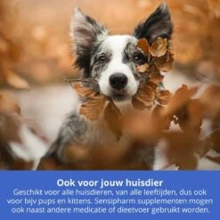 Sensipharm Gastro Entero Comfort Voor Kat, Hondje, Cavia, Konijn - Voedingssupplement Voor Maag En Darmen Bij Diarree En Overgeven - 90 Tabletten à 250 Mg -Kattenbenodigdheden Winkel 1200x1200 1385