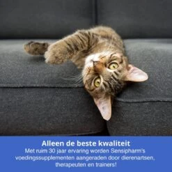 Sensipharm Gastro Entero Comfort Voor Kat, Hondje, Cavia, Konijn - Voedingssupplement Voor Maag En Darmen Bij Diarree En Overgeven - 90 Tabletten à 250 Mg -Kattenbenodigdheden Winkel 1200x1200 1386