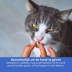 Sensipharm Gastro Entero Comfort Voor Kat, Hondje, Cavia, Konijn - Voedingssupplement Voor Maag En Darmen Bij Diarree En Overgeven - 90 Tabletten à 250 Mg -Kattenbenodigdheden Winkel 1200x1200 1388